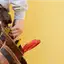 Handyman repair service in Green Bay, WI for home fixes and improvements
